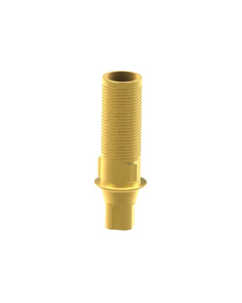 Custom Ti-Base Compatible With Straumann® Bone Level®