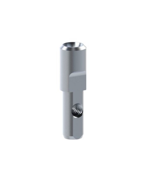 Analog Compatible With Straumann® Bone Level®