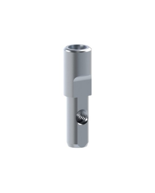 Analog Compatible With Dentsply® Ankylos®