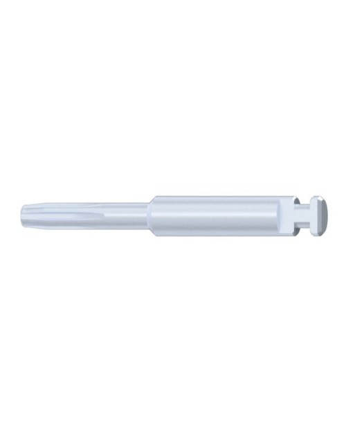 Screwdriver Neo GM