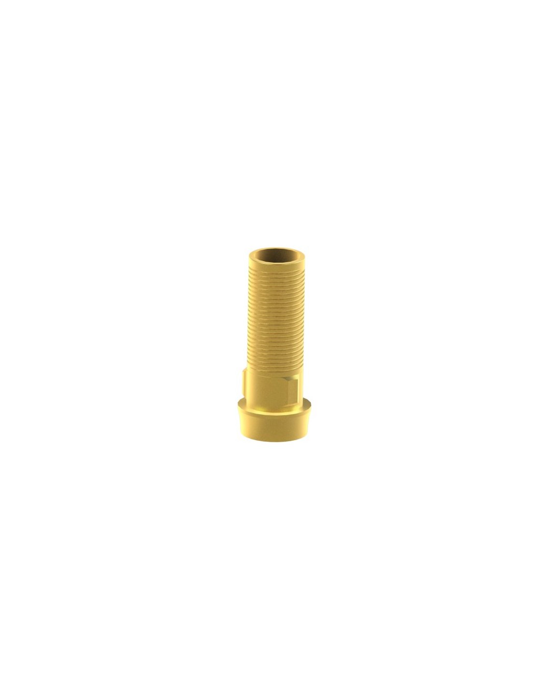 Custom Ti-Base Compatible With Nobel Biocare® Branemark System®